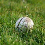 A hurling ball (hurling is a Gaelic sport)